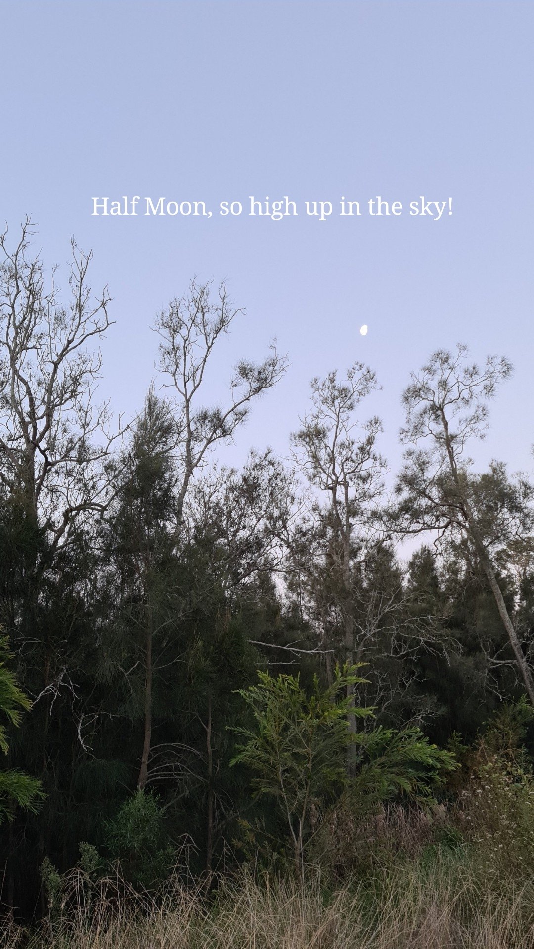 Half Moon, so high up in the sky!