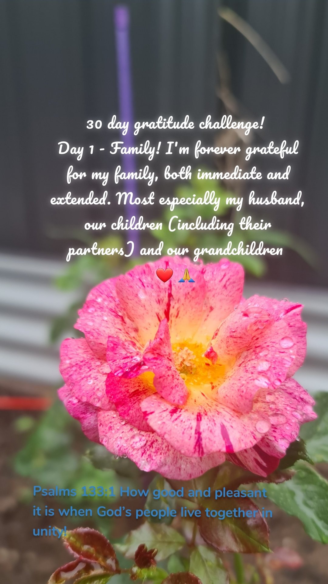 30 day gratitude challenge! 
Day 1 - Family! I'm forever grateful for my family, both immediate and extended. Most especially my husband, our children (including their partners) and our grandchildren 
❤ 🙏  Psalms 133:1 How good and pleasant it is when God’s people live together in unity!