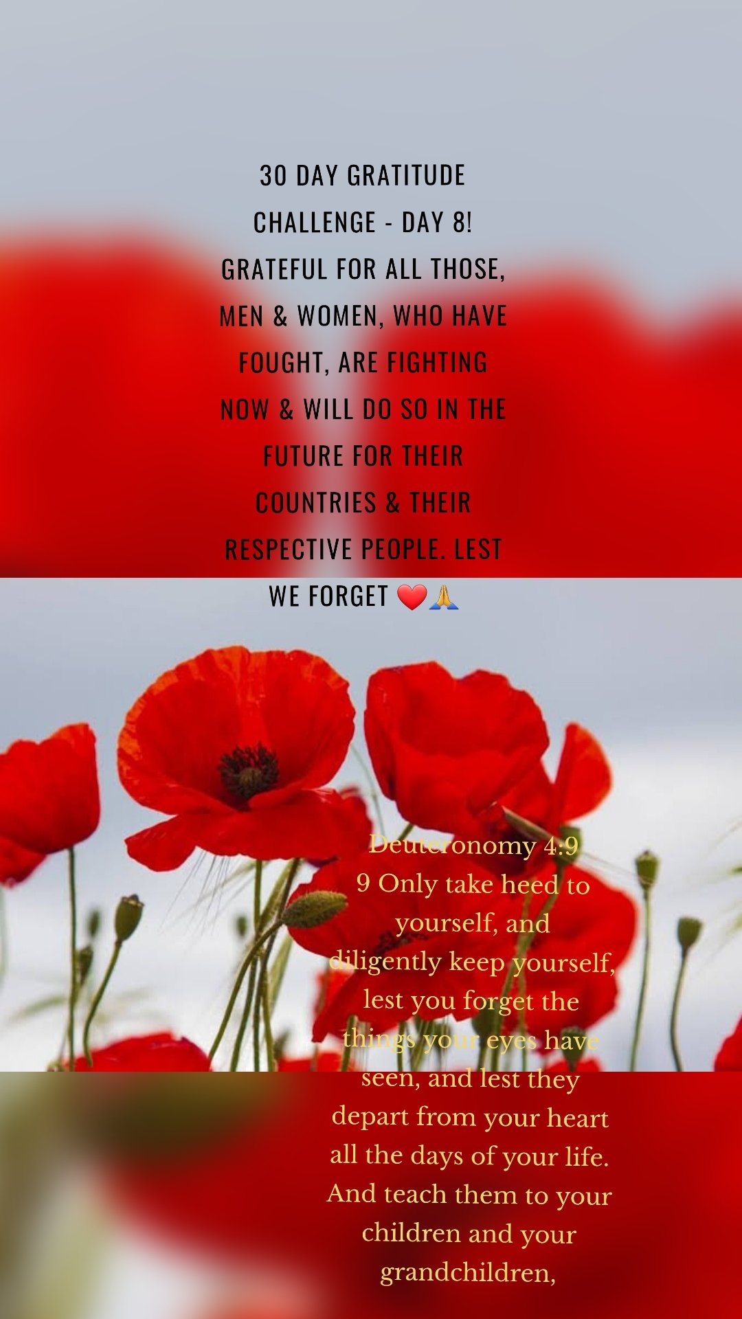 Deuteronomy 4:9
9 Only take heed to yourself, and diligently keep yourself, lest you forget the things your eyes have seen, and lest they depart from your heart all the days of your life. And teach them to your children and your grandchildren, 30 day gratitude challenge - Day 8! Grateful for all those, men & women, who have fought, are fighting now & will do so in the future for their countries & their respective people. Lest we forget ❤🙏