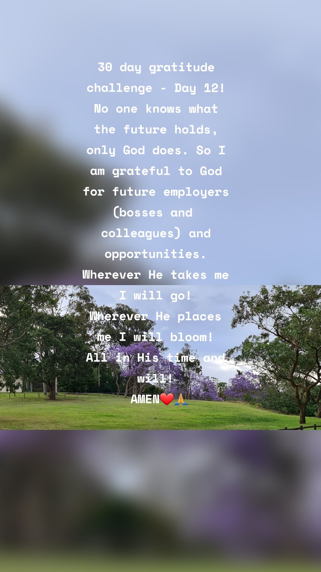 30 day gratitude challenge - Day 12! No one knows what the future holds, only God does. So I am grateful to God for future employers (bosses and  colleagues) and opportunities. Wherever He takes me I will go!
Wherever He places me I will bloom!
All in His time and will!
 AMEN❤🙏