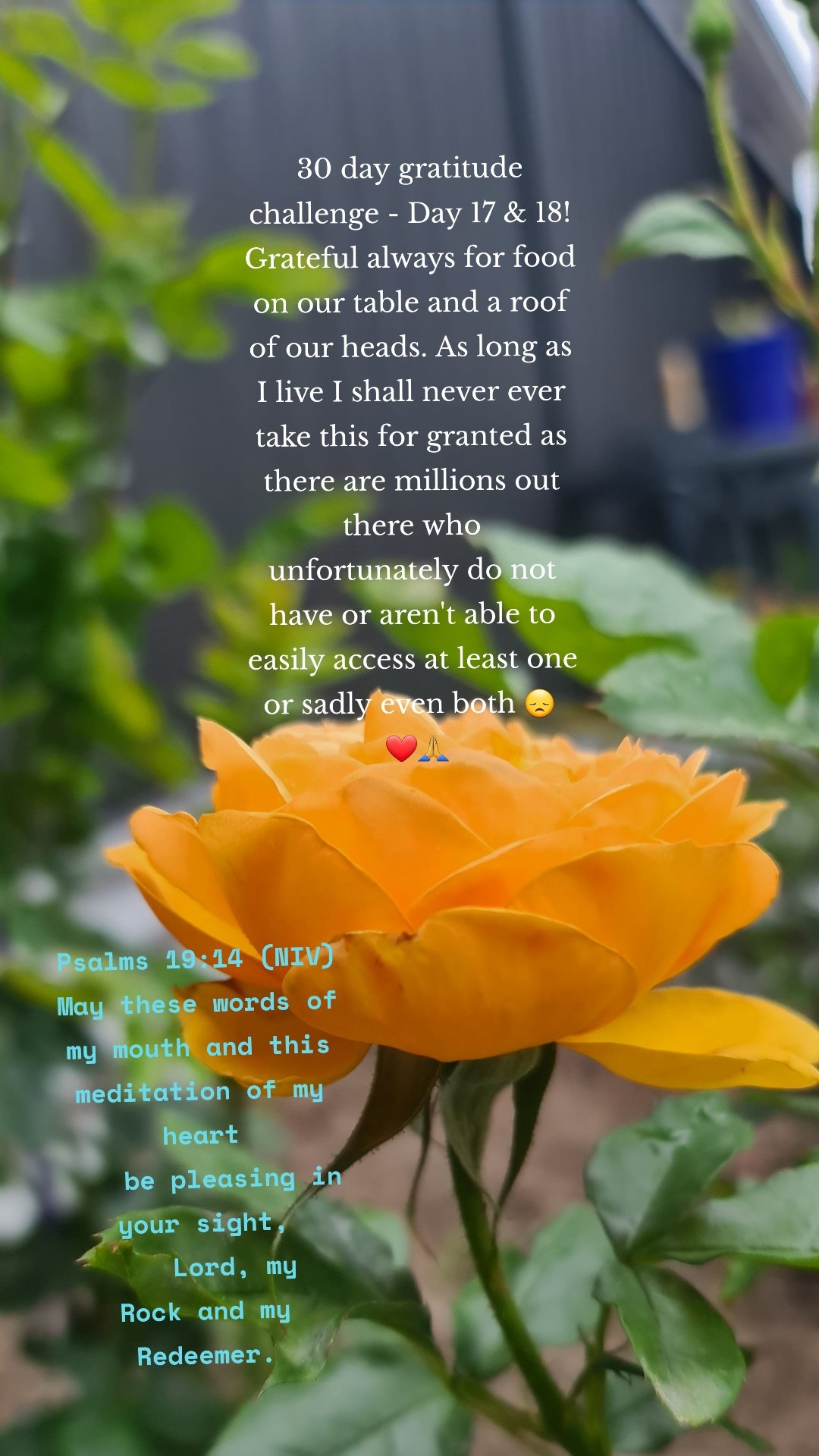 30 day gratitude challenge - Day 17 & 18!
Grateful always for food on our table and a roof of our heads. As long as I live I shall never ever take this for granted as there are millions out there who unfortunately do not have or aren't able to easily access at least one or sadly even both 😞 
 ❤🙏 Psalms 19:14 (NIV)
May these words of my mouth and this meditation of my heart
    be pleasing in your sight,
    Lord, my Rock and my Redeemer.