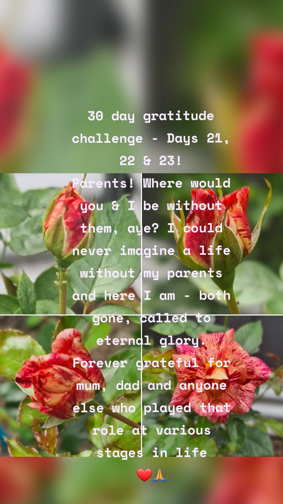 30 day gratitude challenge - Days 21, 22 & 23!
Parents! Where would you & I be without them, aye? I could never imagine a life without my parents and here I am - both gone, called to eternal glory. Forever grateful for mum, dad and anyone else who played that role at various stages in life
❤🙏

